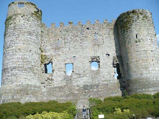 Carlow Castle